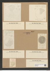 Coscinodiscus tuberculatus var. monicae Grev. (de-Toni-Nr.: Genus 202, Species 4918) Zeichnungen Sammlung Grunow Nr. 8687 (NHMW-BOT-W0378106)